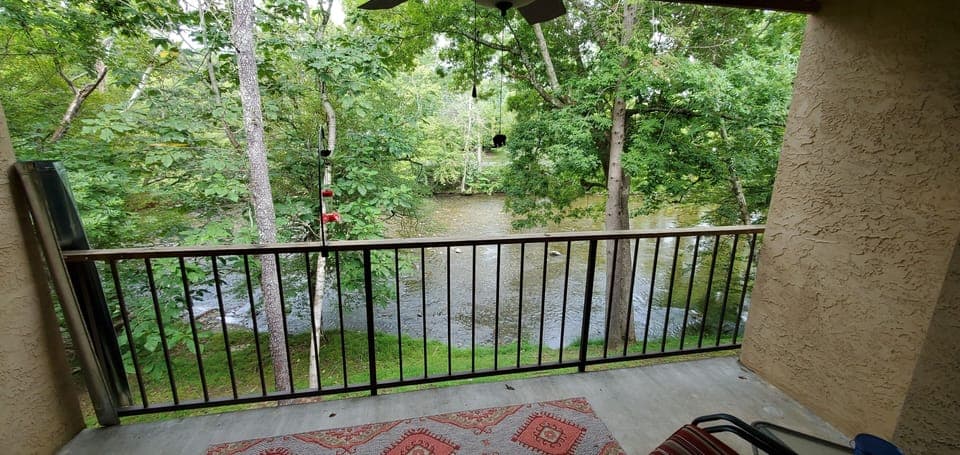 back porch view #2