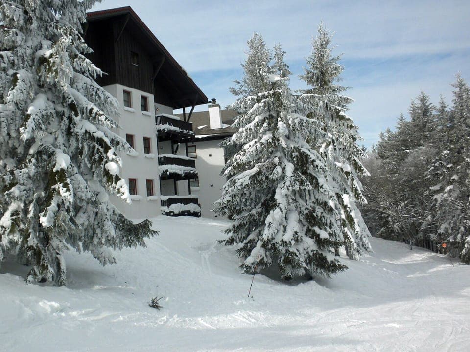 This is a view of Whistlepunks from the trails.
