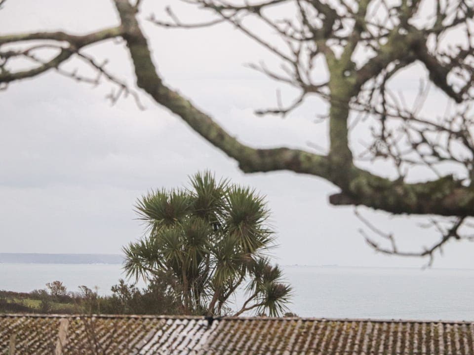 Cottage | Miscellaneous