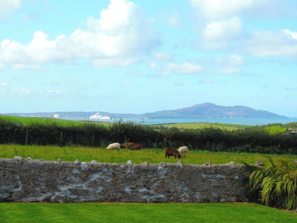 Cottage | Miscellaneous