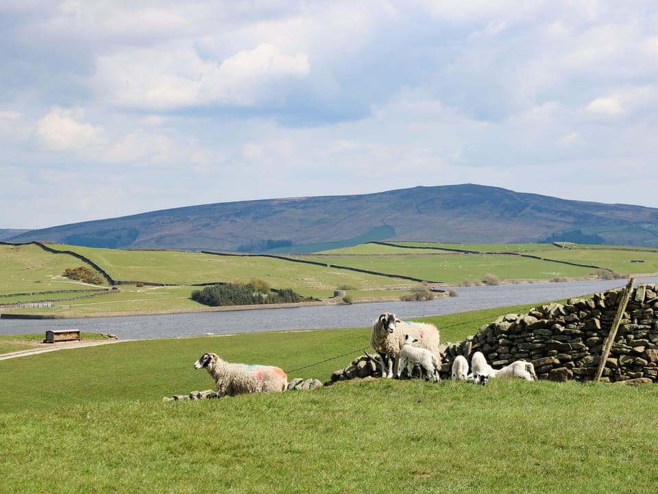 Cottage | Property grounds