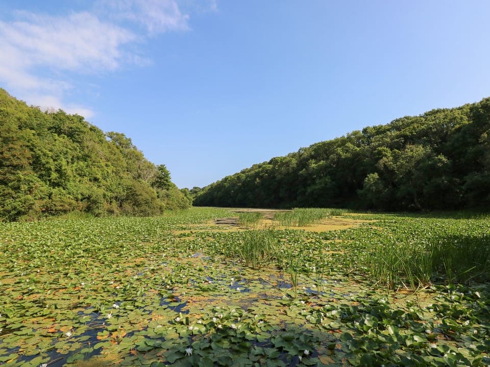 Cottage | Property grounds