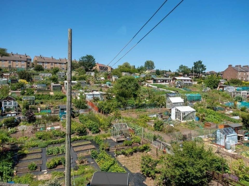 A bright outlook from the rear Bedroom (2)