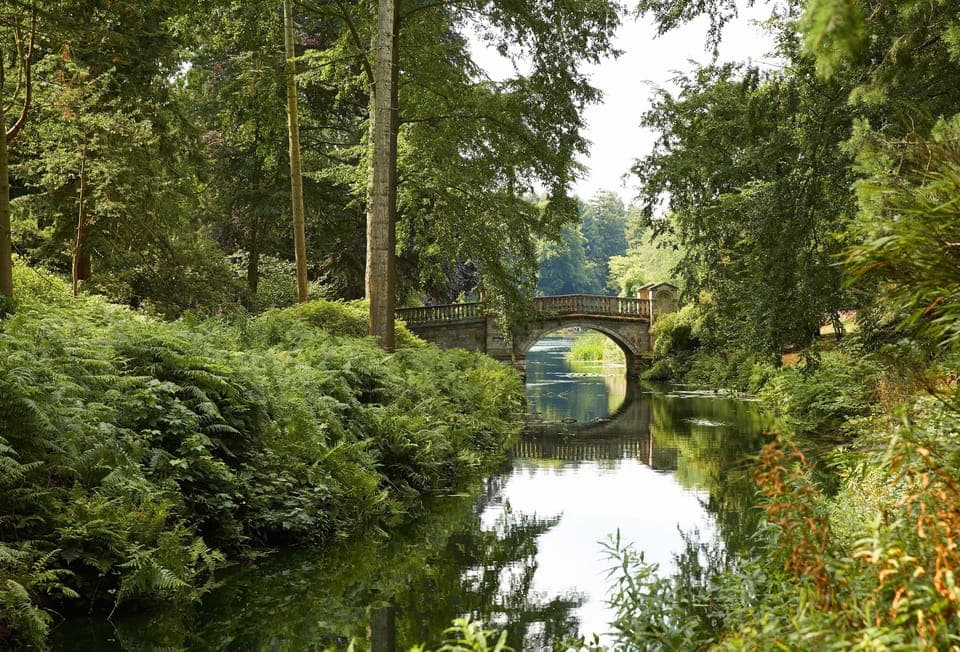 One of the many stunning parts you can stubble across when taking a stroll