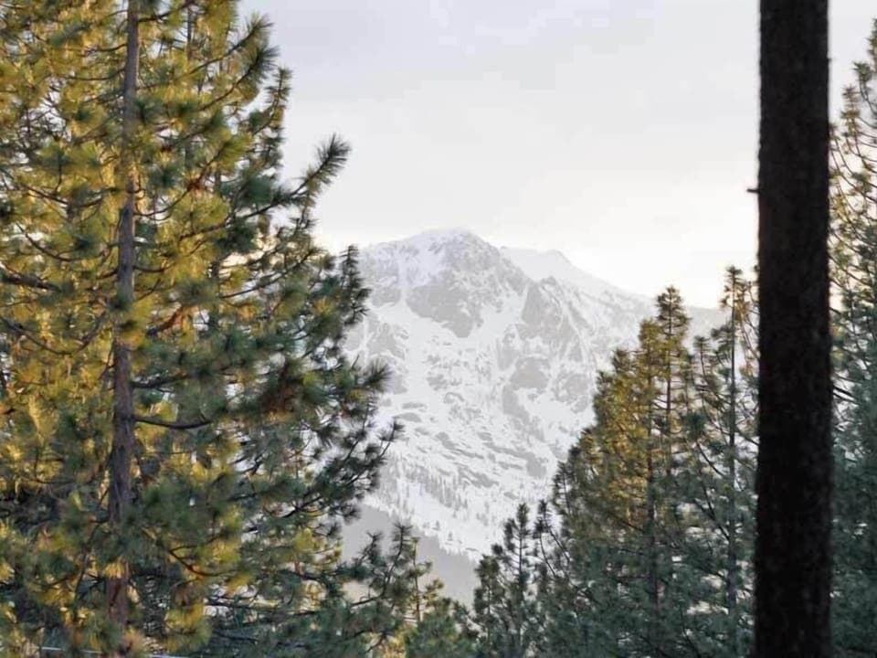 Tallac View - Back Yard