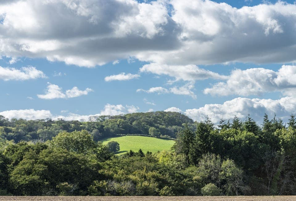 Bracken, Ansty: Special and wonderful views all around