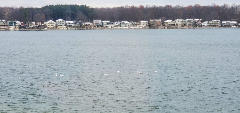 Snow dusting wintry view