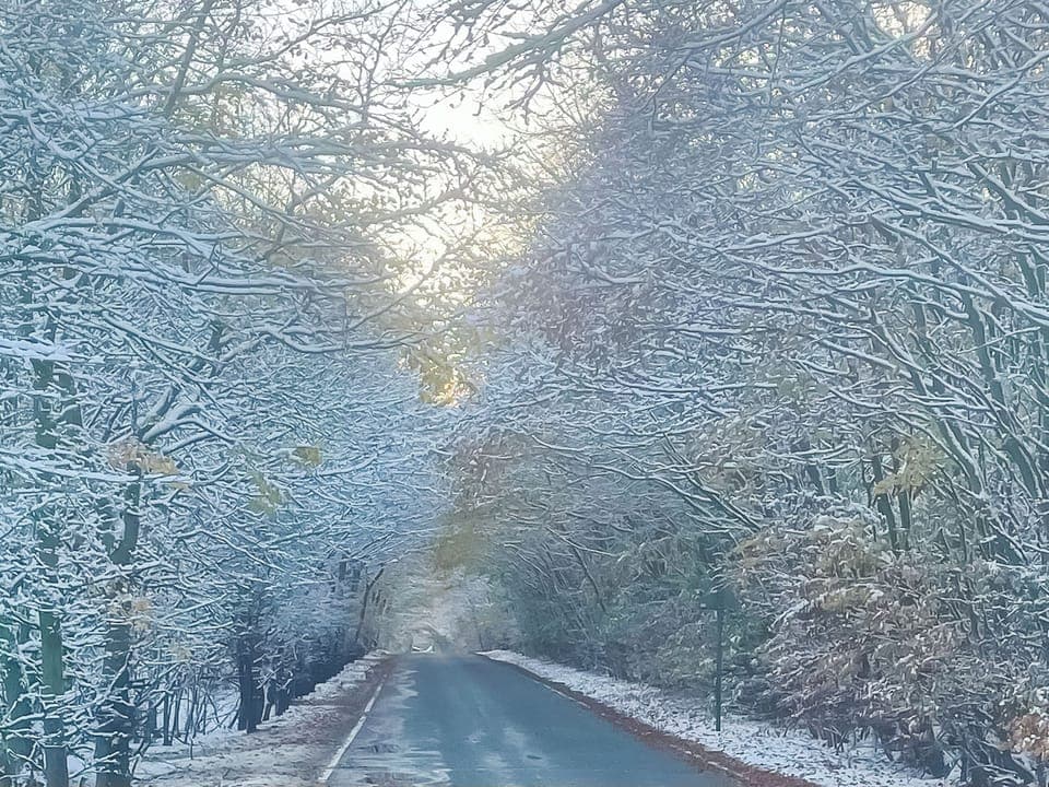 Surrounding area | Seaton Cottage - Seaton Hall, Staithes