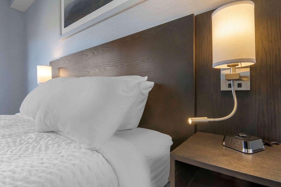 Room, 1 Queen Bed, Non Smoking | Premium bedding, down comforters, pillowtop beds, individually decorated