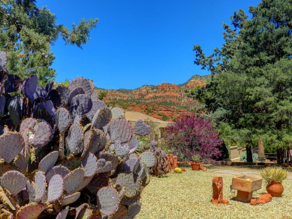 Backyard space of house (there is no grass).