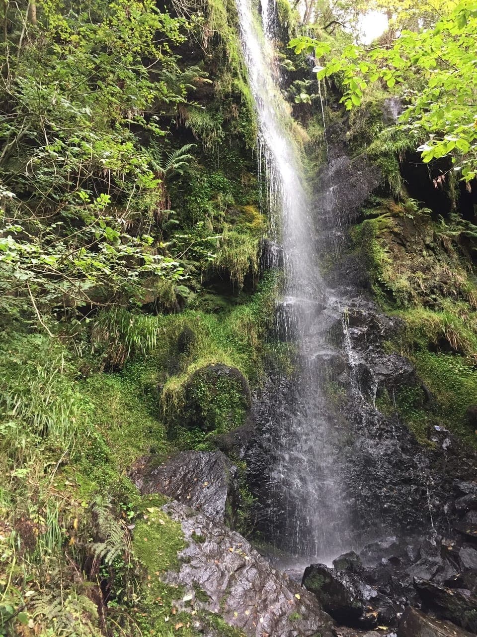 The Mallyan Spout in Goathland.