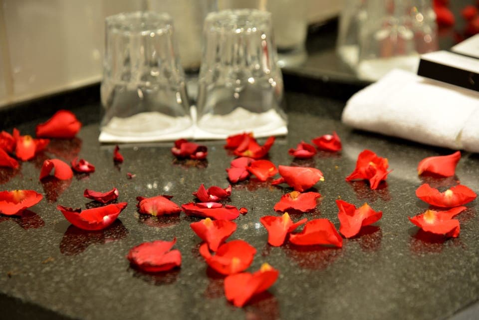 Free toiletries, hair dryer, slippers, towels