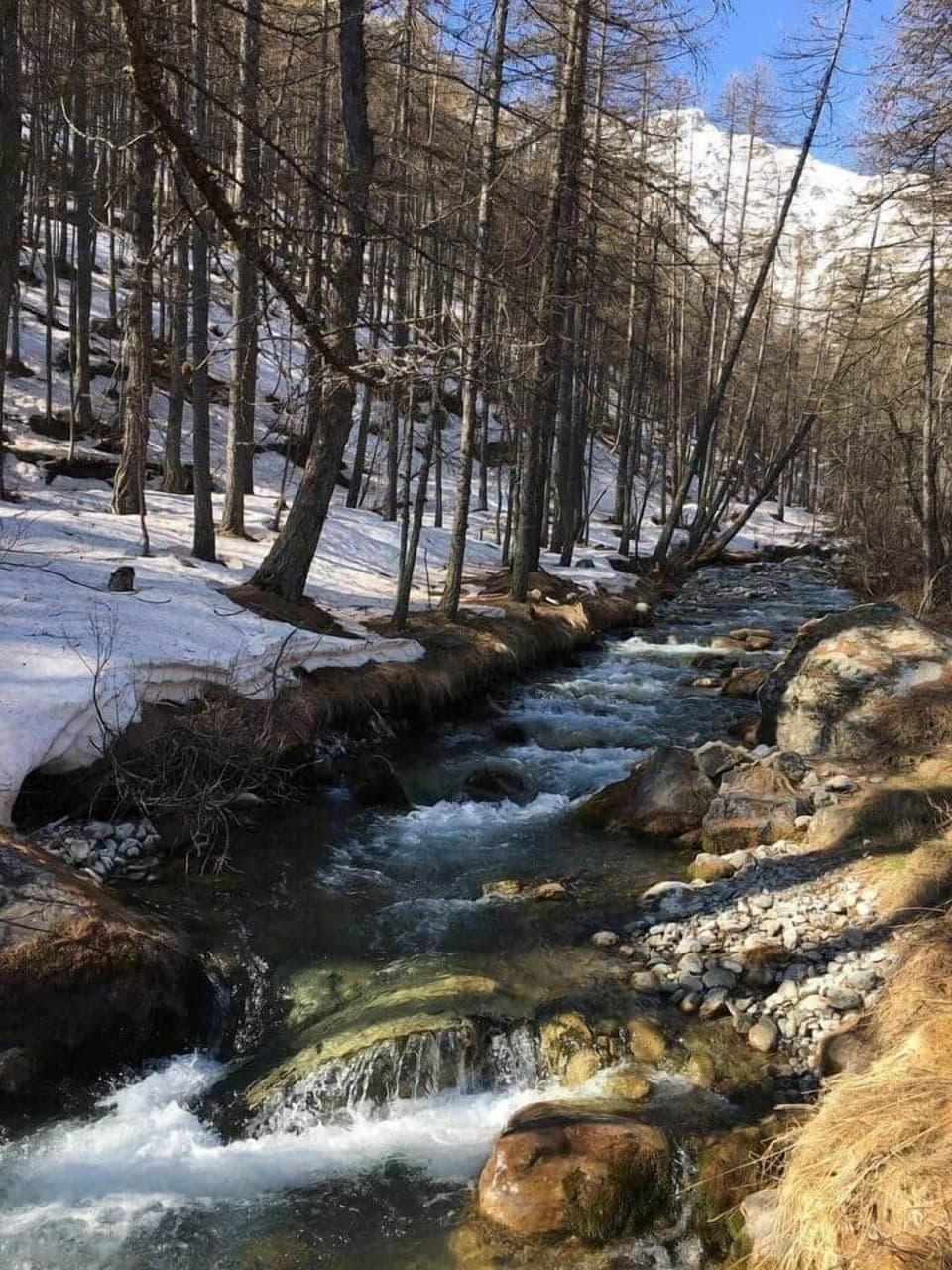 Torrent des alpages à 50 ms; menant au restaurant d'altitude Peyra Juana 