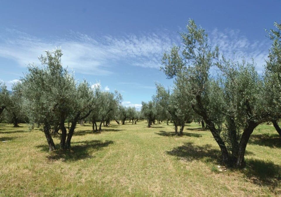 Hypo-allergenic bedding, individually decorated, individually furnished