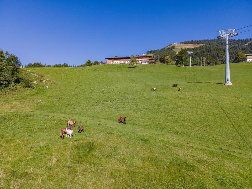 Holiday Home Exterior [summer]