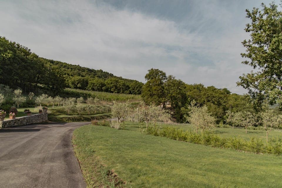 Plant, Land Lot, Shrub, Grassland, Rural Area, Garden, Meadow, Plantation, Prairie, Bench