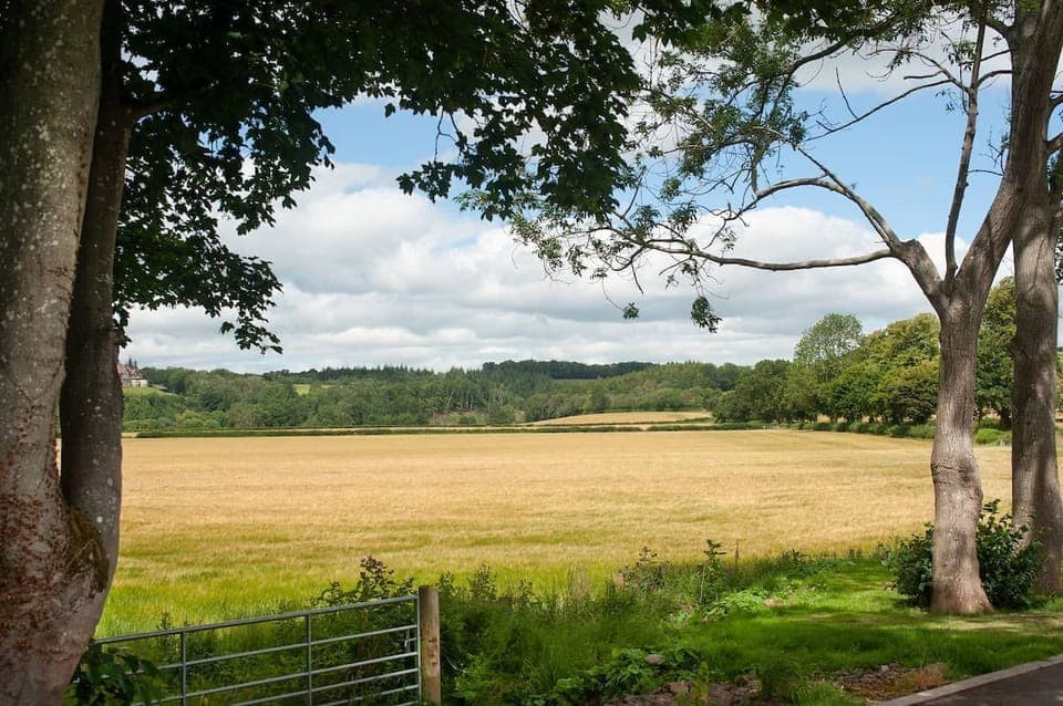 Dryburgh Steading Four - view over nearby countryside