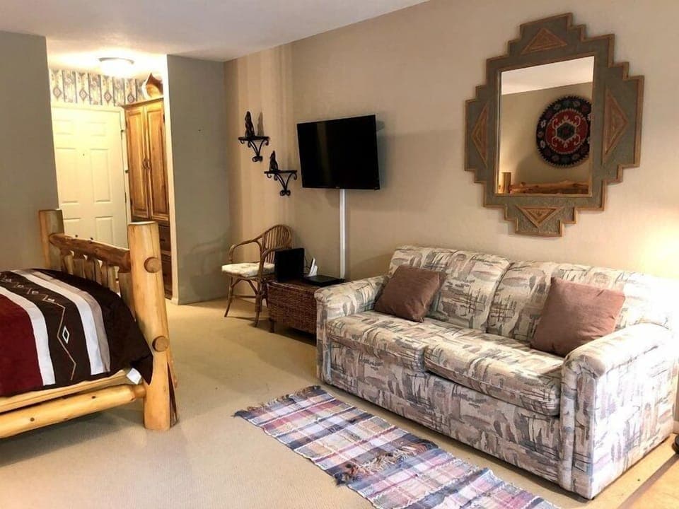 Twin sized sleeper sofa