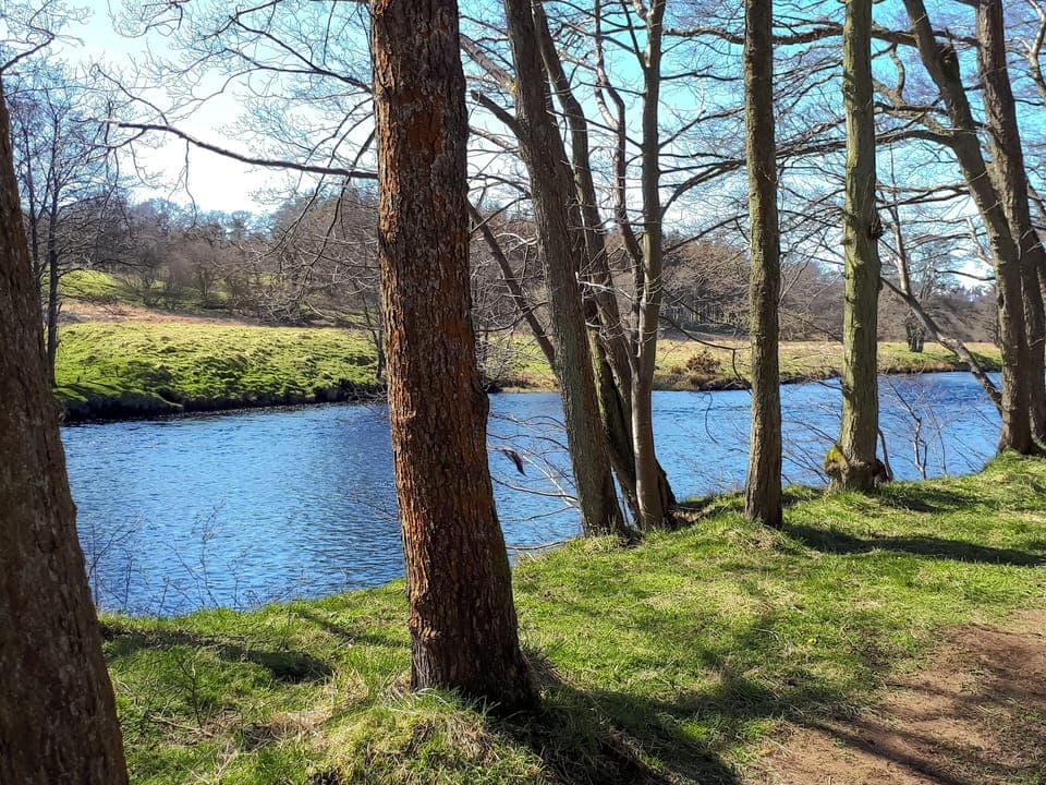 Surrounding area | The Studio at Westfield, Bellingham, near Hexham