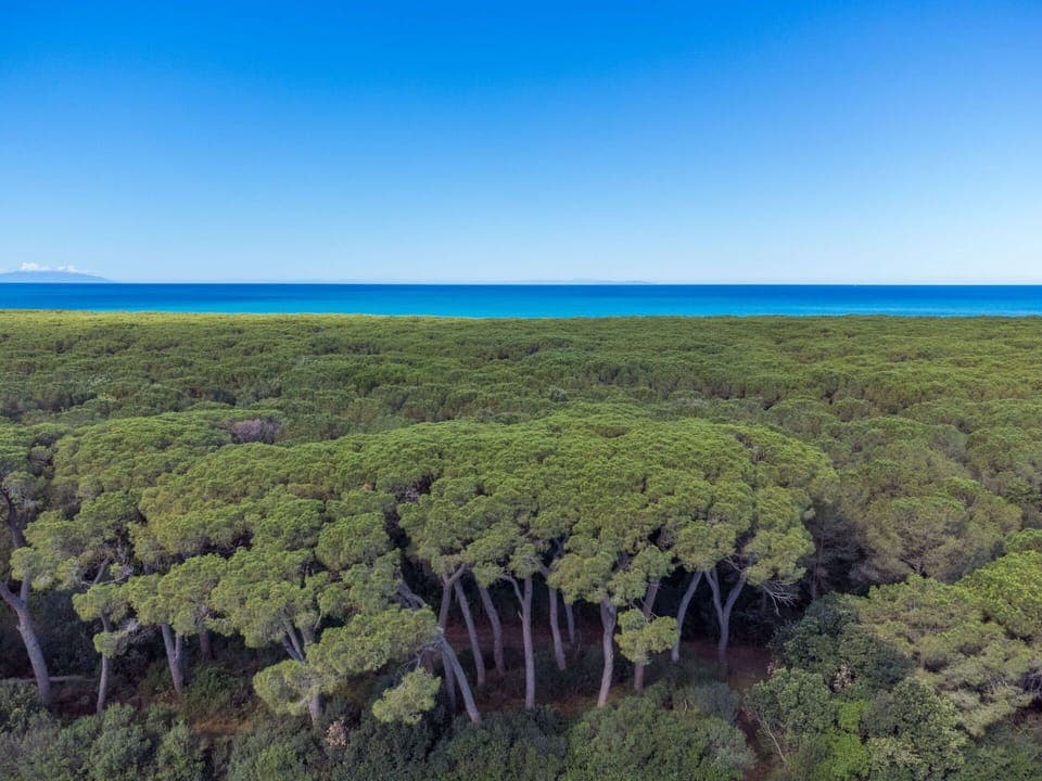 Water, Sky, Plant Community, Ecoregion, Natural Landscape, Tree, Coastal And Oceanic Landforms, Plant, Grass, Plain