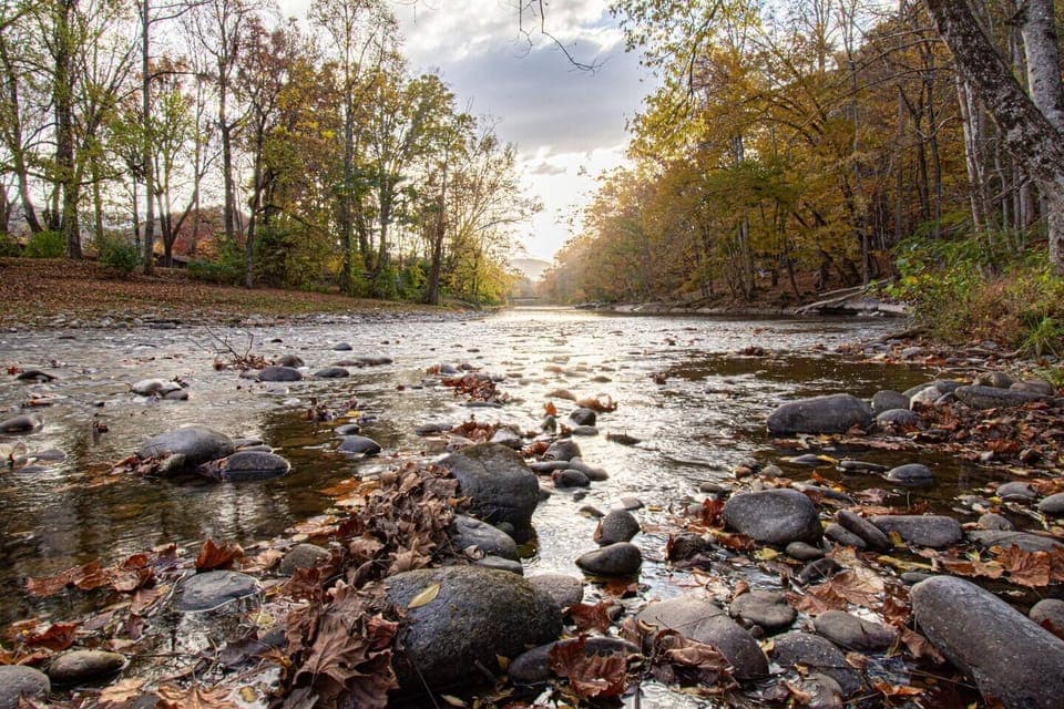 Peaceful as can be!