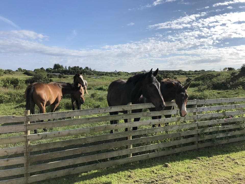 Apartment | Miscellaneous