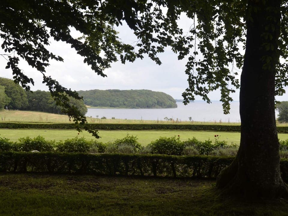 House | Miscellaneous