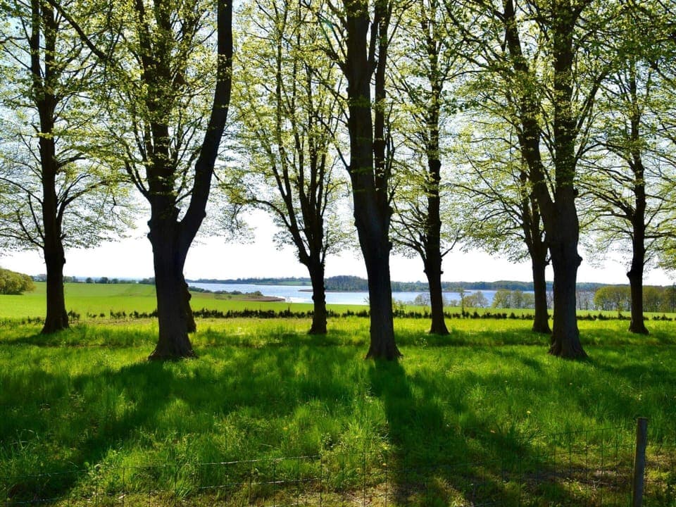 House | Miscellaneous