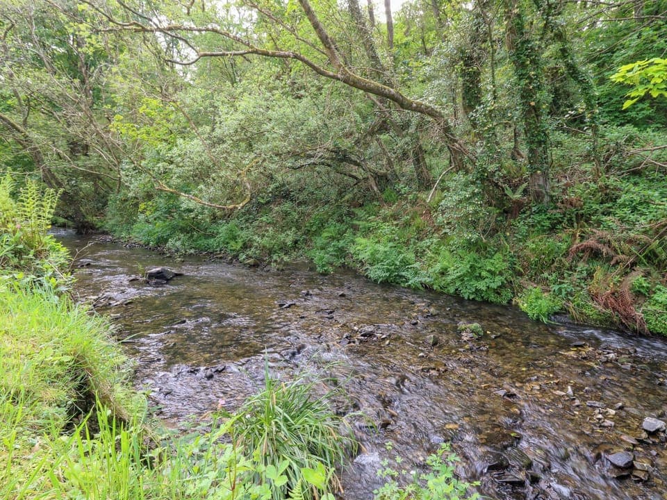 Cottage | Miscellaneous