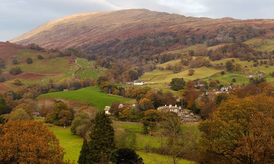 Cottage | Property grounds