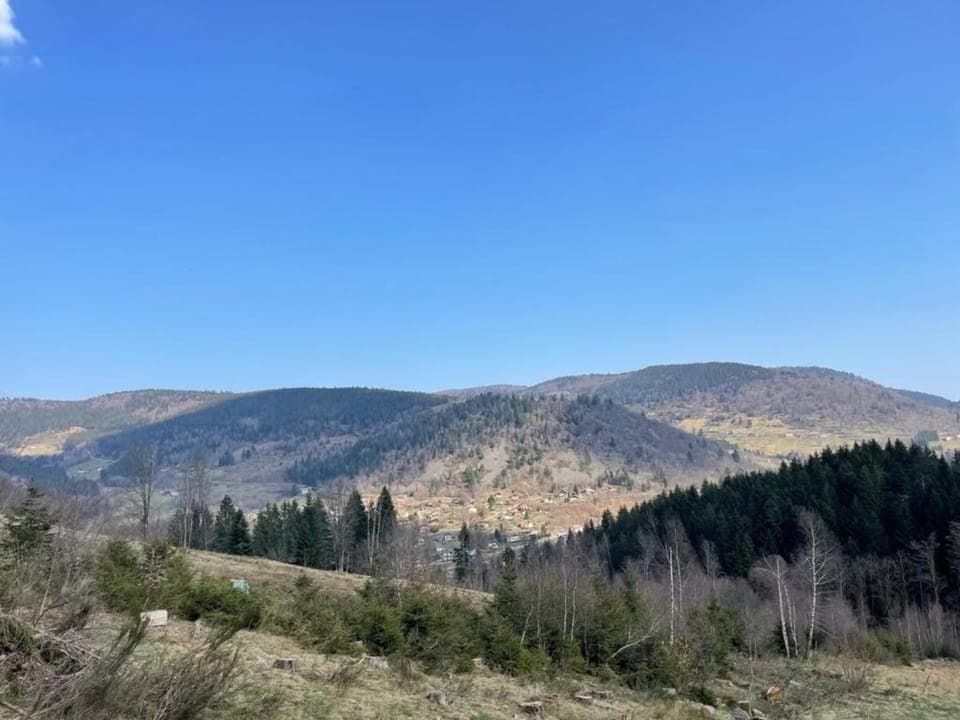 Region [summer] (>5 km)