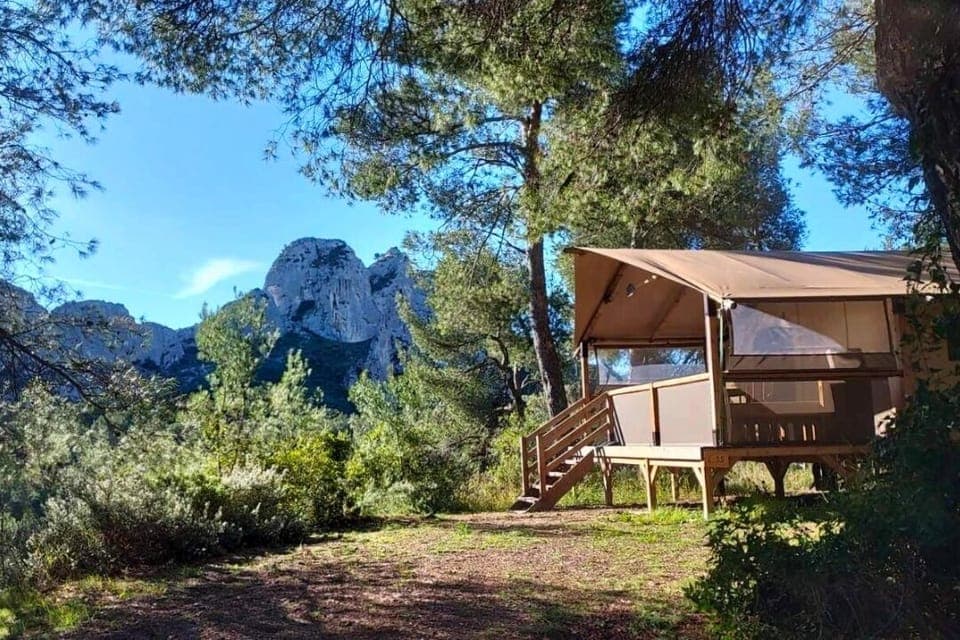 Premium Tent | Terrace/patio