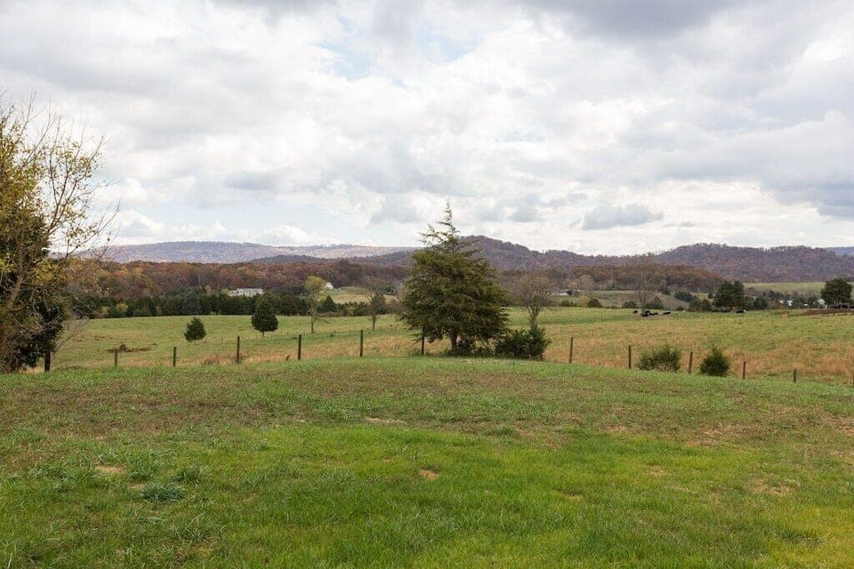 Backyard farm views