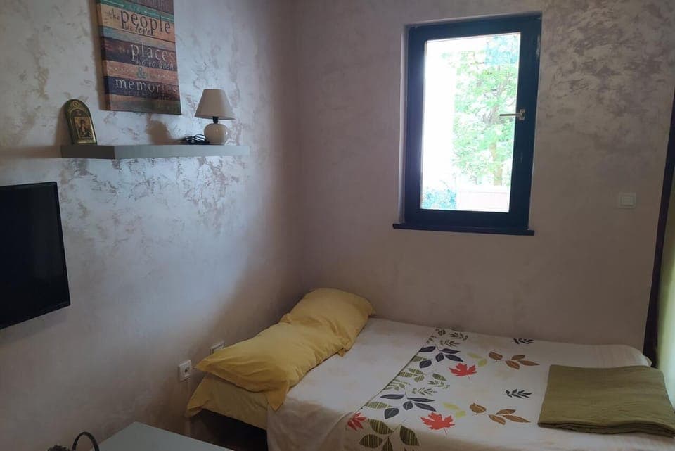 The Studio is full of nature bright inside