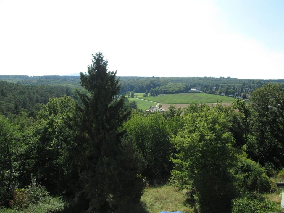 Double Room, 1 Bedroom, Garden View | View from room