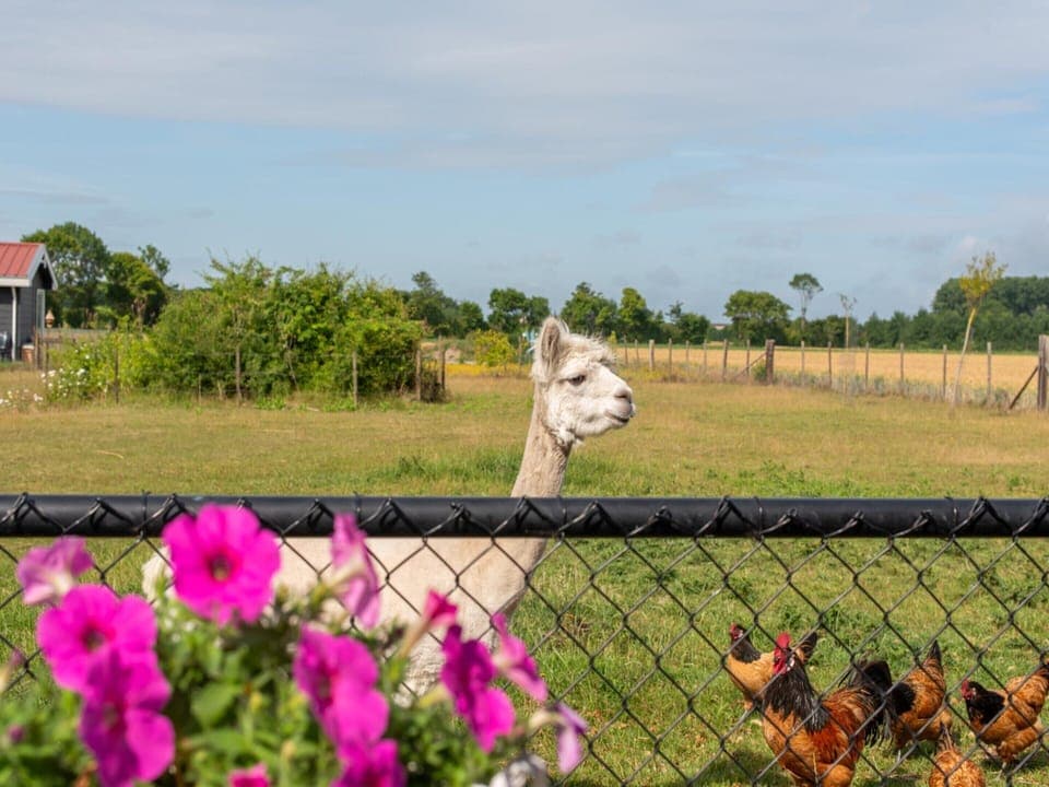 House | View from property