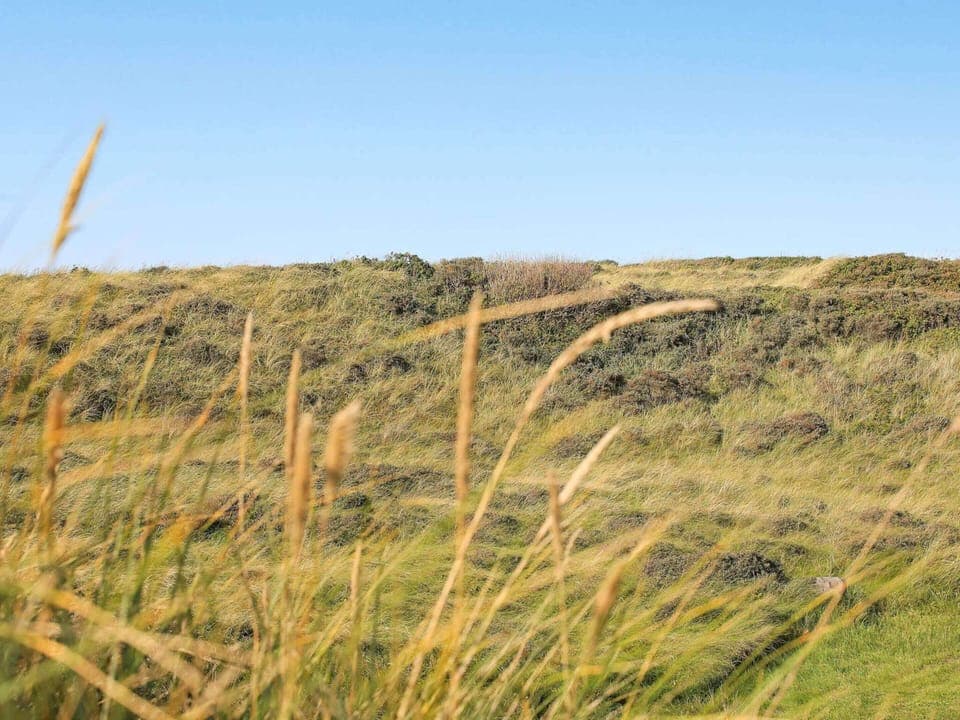 House | Miscellaneous