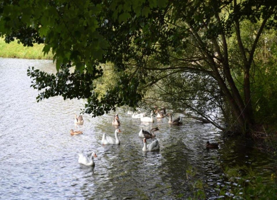 Apartment | View from property