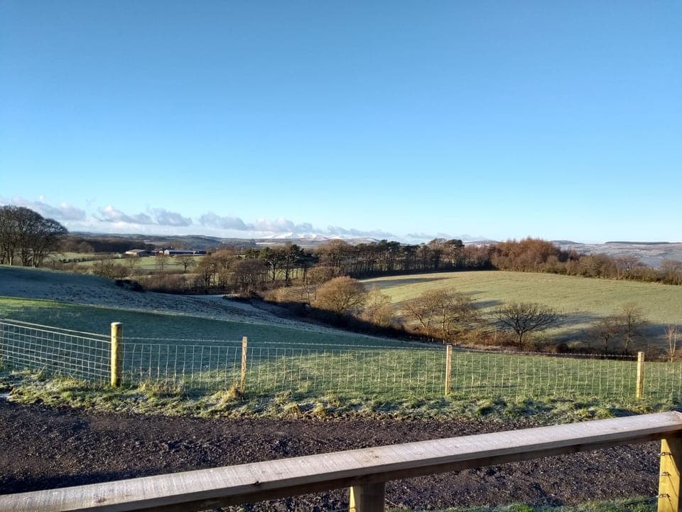 Cabin | Front of property