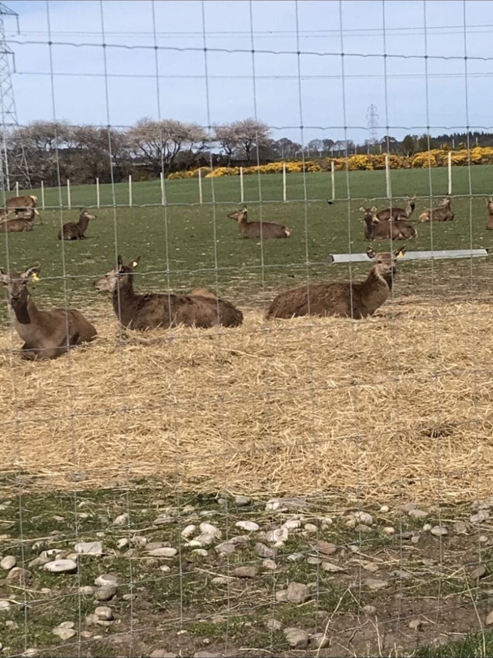 Chalet | Property grounds