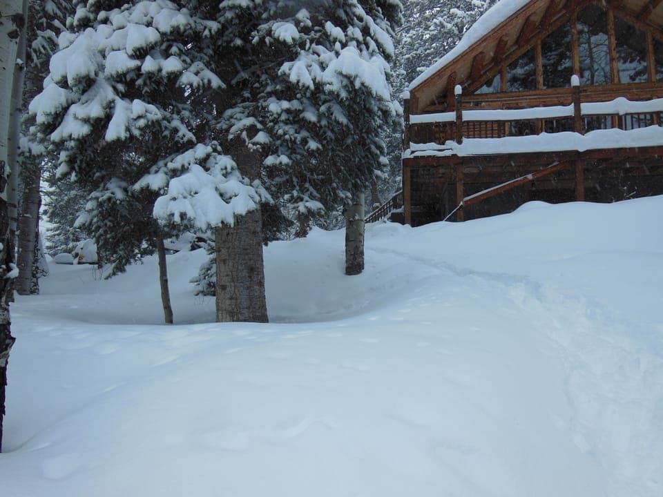 Cabin in Winter