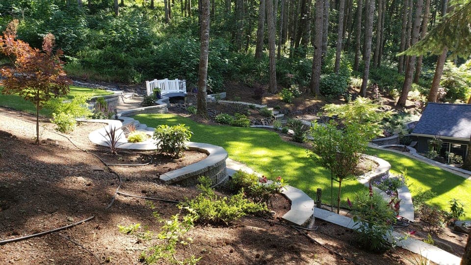 Backyard - 3 level grass areas