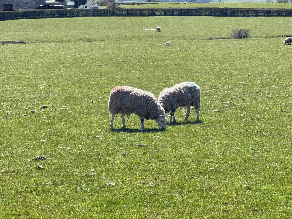 Surrounding area | Penny Black Cottage, Thornton in Lonsdale, near Ingleton