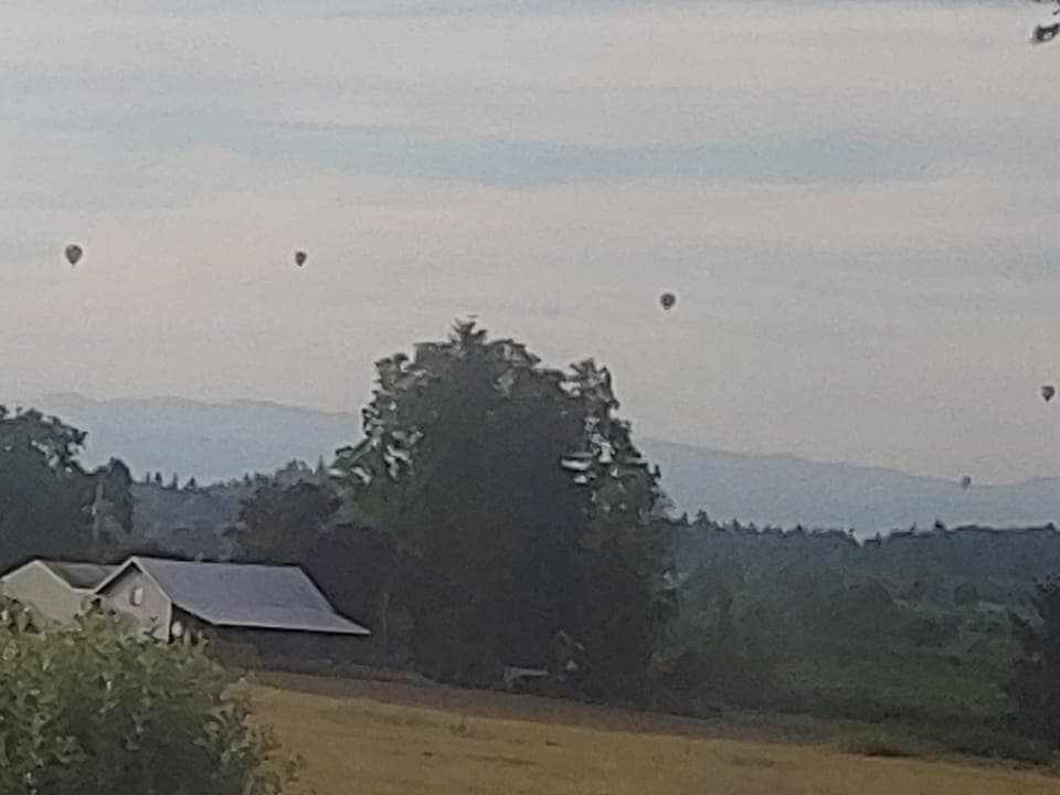 If you would like to take a balloon ride, call 1-800-622-2309.