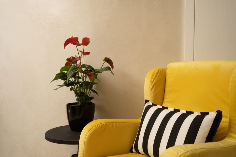 1 bedroom, in-room safe, blackout drapes, soundproofing