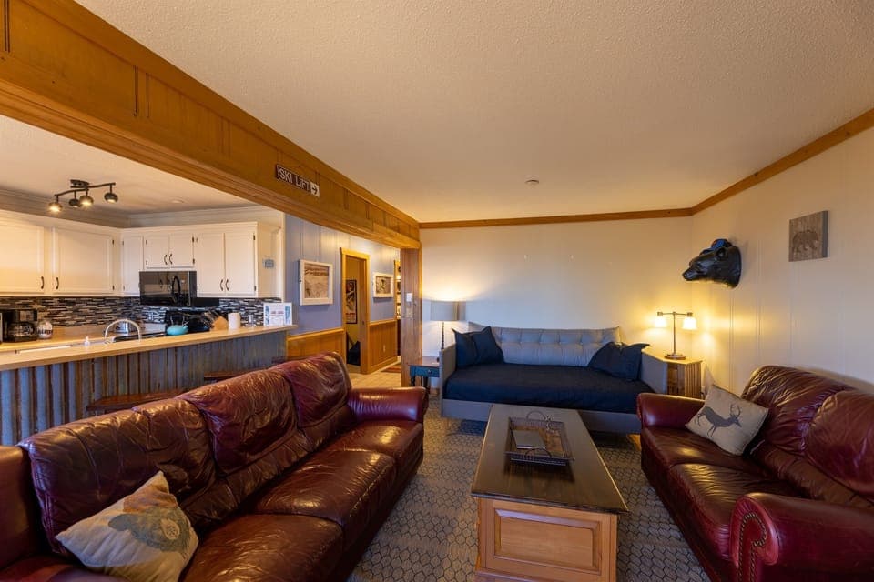 Full size daybed, 65” smart TV, cozy gas fireplace