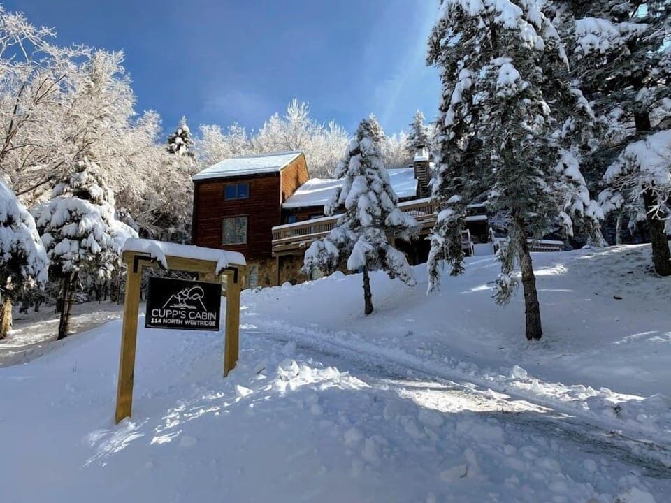 Cabin in Winter