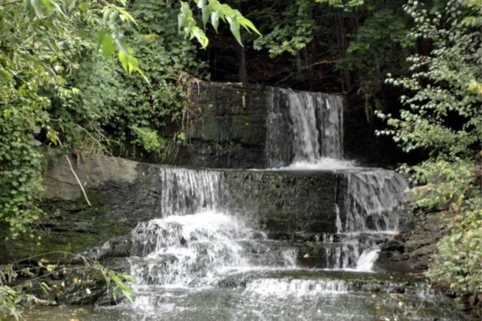 Williams Glen Falls