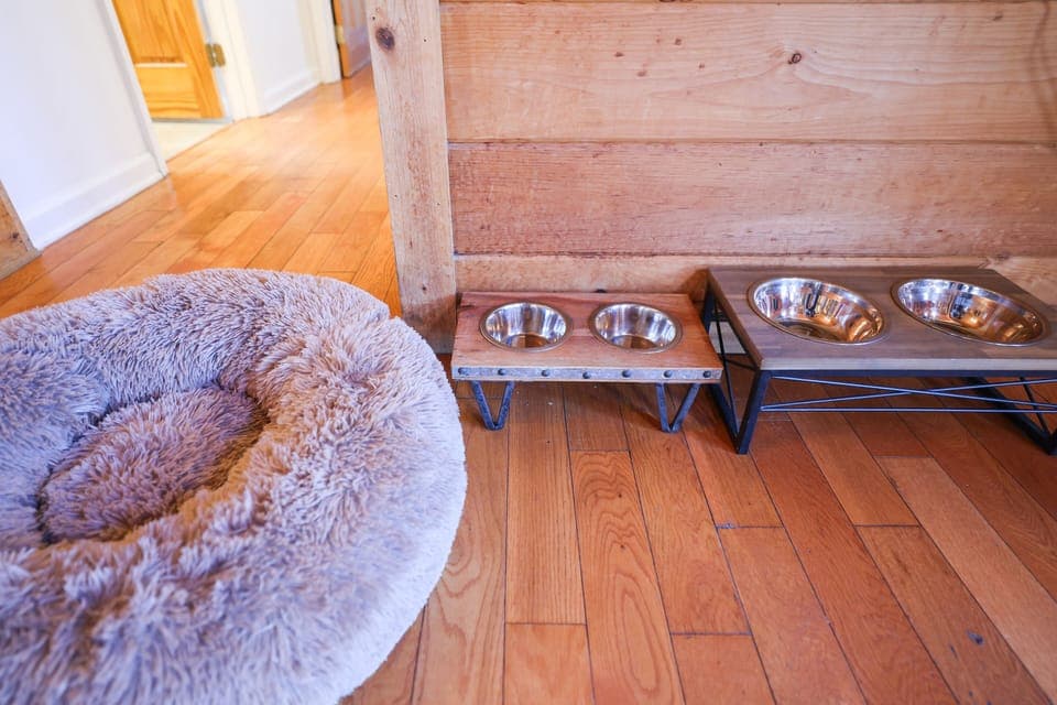 Two sets of dog bowls!