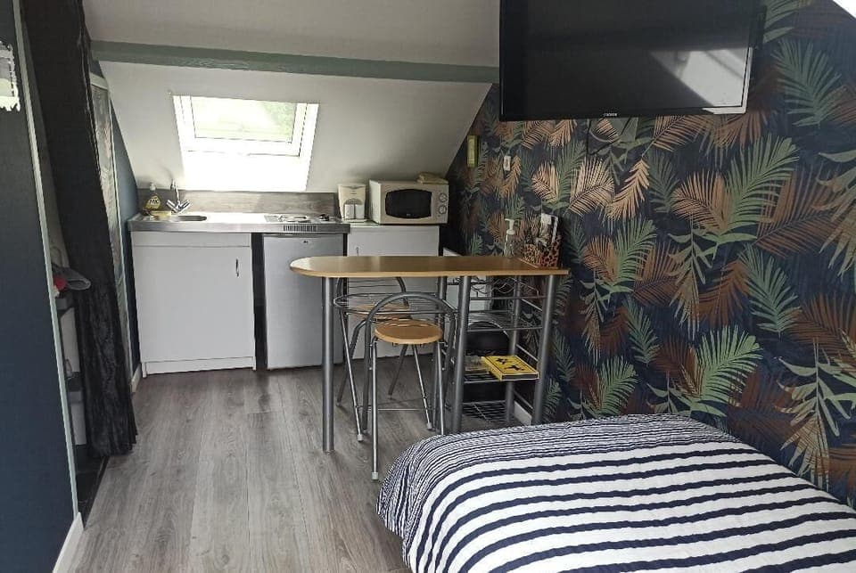 Classic Studio | Private kitchen | Fridge, microwave, stovetop, toaster